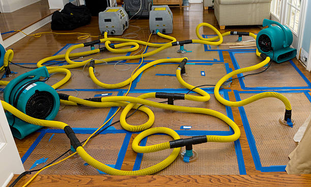 Professional Water Extraction technician working in Paris, MO